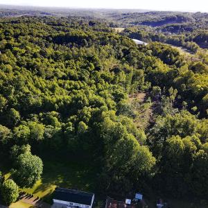 Photo #2 of SOLD property in Off Mica Road, Ridgeway, VA 5.3 acres