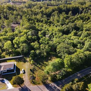 Photo #19 of SOLD property in Off Mica Road, Ridgeway, VA 5.3 acres