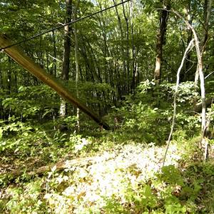 Photo #7 of SOLD property in Off Mica Road, Ridgeway, VA 5.3 acres