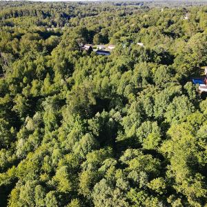 Photo #21 of SOLD property in Off Mica Road, Ridgeway, VA 5.3 acres