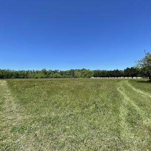 Photo #11 of Off Townfield Drive, Cape Charles, VA 17.5 acres