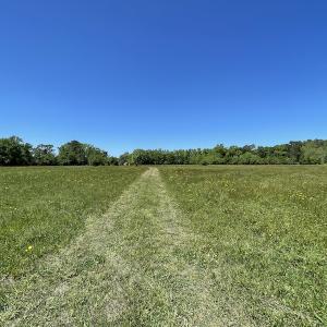 Photo #12 of Off Townfield Drive, Cape Charles, VA 17.5 acres