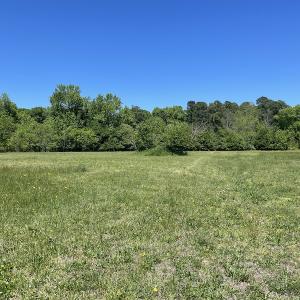 Photo #14 of Off Townfield Drive, Cape Charles, VA 17.5 acres