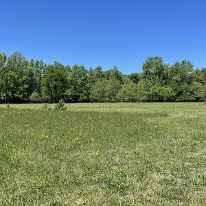 Photo #15 of Off Townfield Drive, Cape Charles, VA 17.5 acres