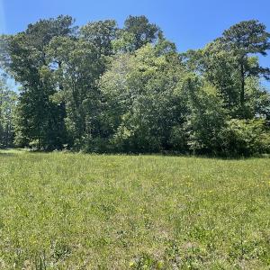 Photo #16 of Off Townfield Drive, Cape Charles, VA 17.5 acres