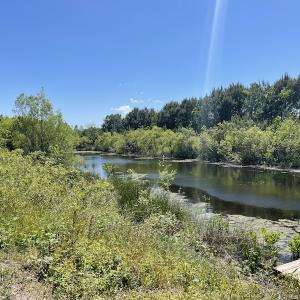 Photo #18 of Off Townfield Drive, Cape Charles, VA 17.5 acres