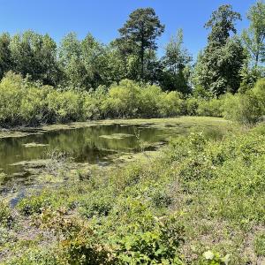 Photo #19 of Off Townfield Drive, Cape Charles, VA 17.5 acres