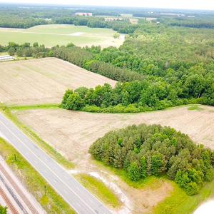 Photo #2 of SOLD property in Off General Mahone Highway, Waverly, VA 41.0 acres