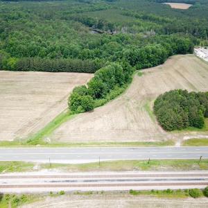 Photo #6 of SOLD property in Off General Mahone Highway, Waverly, VA 41.0 acres