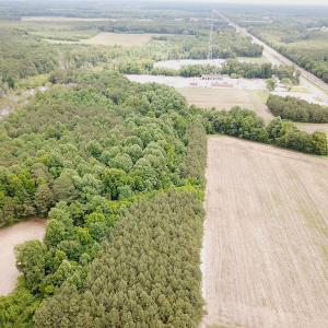 Photo #10 of SOLD property in Off General Mahone Highway, Waverly, VA 41.0 acres