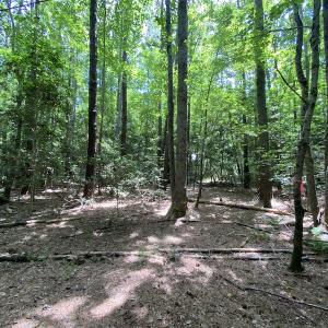 Photo #15 of SOLD property in Off General Mahone Highway, Waverly, VA 41.0 acres