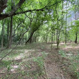 Photo #21 of SOLD property in Off General Mahone Highway, Waverly, VA 41.0 acres
