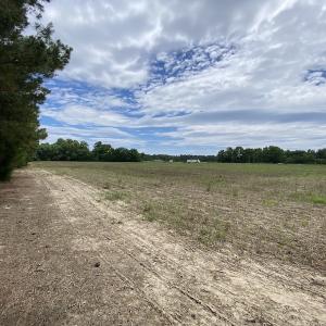 Photo #26 of SOLD property in Off General Mahone Highway, Waverly, VA 41.0 acres