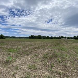Photo #27 of SOLD property in Off General Mahone Highway, Waverly, VA 41.0 acres