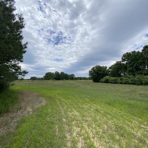 Photo #33 of SOLD property in Off General Mahone Highway, Waverly, VA 41.0 acres