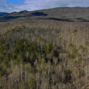 Photo #3 of SOLD property in 2880 South Buffalo Rd, Lexington, VA 341.1 acres