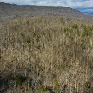 Photo #5 of SOLD property in 2880 South Buffalo Rd, Lexington, VA 341.1 acres