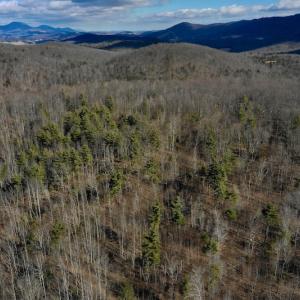 Photo #6 of SOLD property in 2880 South Buffalo Rd, Lexington, VA 341.1 acres