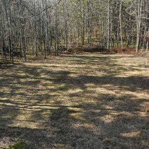 Photo #7 of SOLD property in 2880 South Buffalo Rd, Lexington, VA 341.1 acres