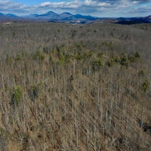 Photo #11 of SOLD property in 2880 South Buffalo Rd, Lexington, VA 341.1 acres