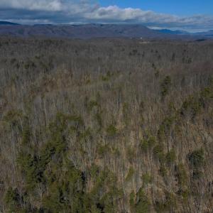 Photo #13 of SOLD property in 2880 South Buffalo Rd, Lexington, VA 341.1 acres