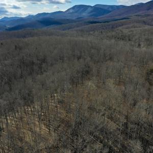 Photo #14 of SOLD property in 2880 South Buffalo Rd, Lexington, VA 341.1 acres