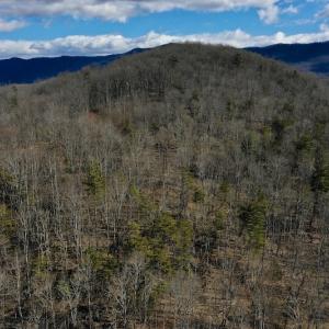 Photo #15 of SOLD property in 2880 South Buffalo Rd, Lexington, VA 341.1 acres