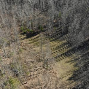 Photo #16 of SOLD property in 2880 South Buffalo Rd, Lexington, VA 341.1 acres