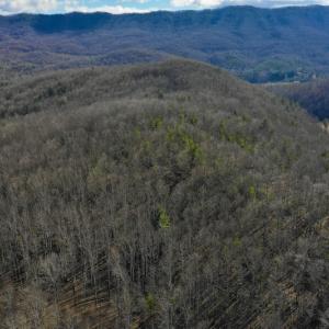 Photo #17 of SOLD property in 2880 South Buffalo Rd, Lexington, VA 341.1 acres