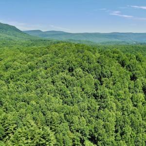 Photo #20 of SOLD property in 2880 South Buffalo Rd, Lexington, VA 341.1 acres