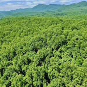 Photo #21 of SOLD property in 2880 South Buffalo Rd, Lexington, VA 341.1 acres