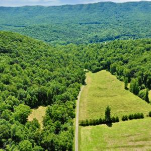 Photo #23 of SOLD property in 2880 South Buffalo Rd, Lexington, VA 341.1 acres