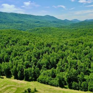 Photo #24 of SOLD property in 2880 South Buffalo Rd, Lexington, VA 341.1 acres