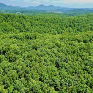 Photo #25 of SOLD property in 2880 South Buffalo Rd, Lexington, VA 341.1 acres