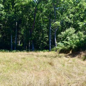 Photo #26 of SOLD property in 2880 South Buffalo Rd, Lexington, VA 341.1 acres