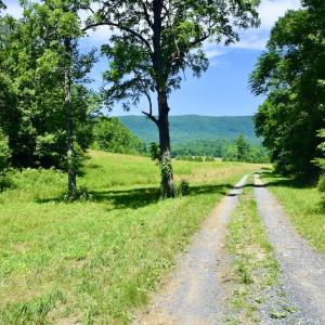 Photo #28 of SOLD property in 2880 South Buffalo Rd, Lexington, VA 341.1 acres
