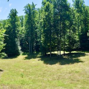 Photo #30 of SOLD property in 2880 South Buffalo Rd, Lexington, VA 341.1 acres