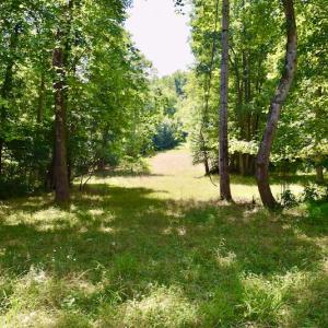 Photo #31 of SOLD property in 2880 South Buffalo Rd, Lexington, VA 341.1 acres
