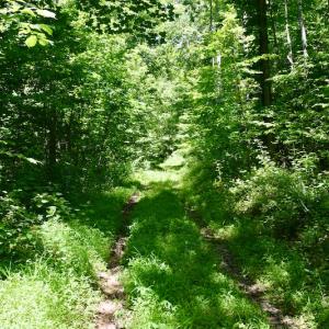 Photo #32 of SOLD property in 2880 South Buffalo Rd, Lexington, VA 341.1 acres