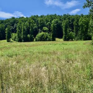 Photo #33 of SOLD property in 2880 South Buffalo Rd, Lexington, VA 341.1 acres