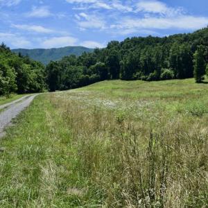 Photo #34 of SOLD property in 2880 South Buffalo Rd, Lexington, VA 341.1 acres