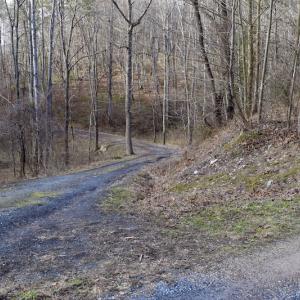 Photo #36 of SOLD property in 2880 South Buffalo Rd, Lexington, VA 341.1 acres