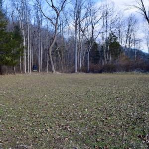 Photo #40 of SOLD property in 2880 South Buffalo Rd, Lexington, VA 341.1 acres