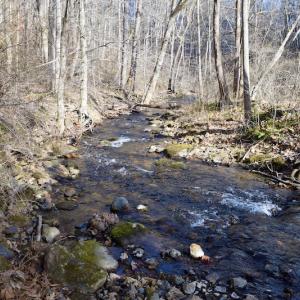 Photo #41 of SOLD property in 2880 South Buffalo Rd, Lexington, VA 341.1 acres
