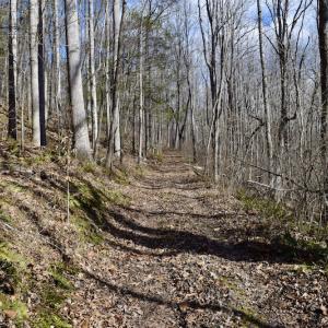 Photo #42 of SOLD property in 2880 South Buffalo Rd, Lexington, VA 341.1 acres