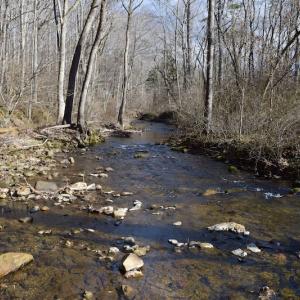 Photo #43 of SOLD property in 2880 South Buffalo Rd, Lexington, VA 341.1 acres