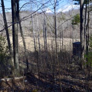Photo #46 of SOLD property in 2880 South Buffalo Rd, Lexington, VA 341.1 acres