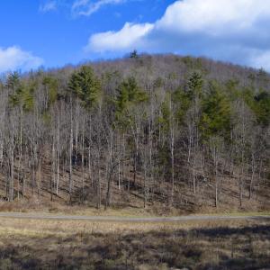Photo #47 of SOLD property in 2880 South Buffalo Rd, Lexington, VA 341.1 acres