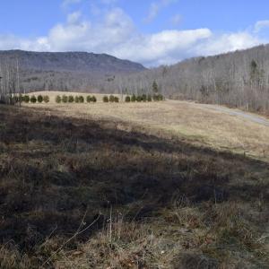 Photo #48 of SOLD property in 2880 South Buffalo Rd, Lexington, VA 341.1 acres