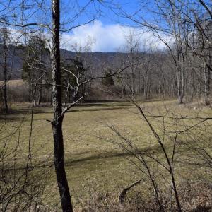 Photo #49 of SOLD property in 2880 South Buffalo Rd, Lexington, VA 341.1 acres